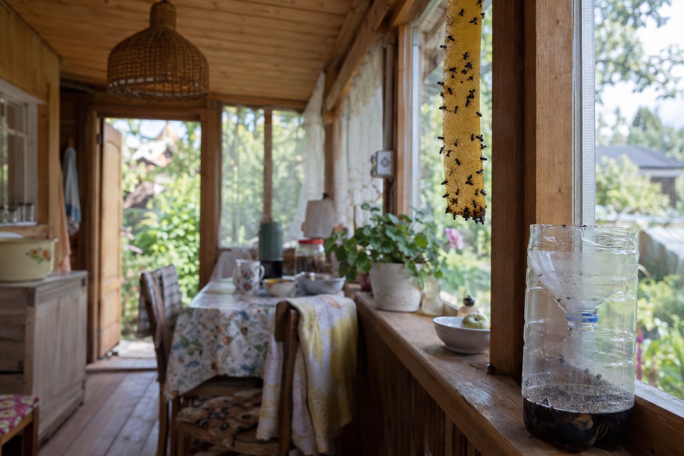 Sticky fly ribbon with caught flies hanging under a porch ceiling and a bottle trap on a windowsill