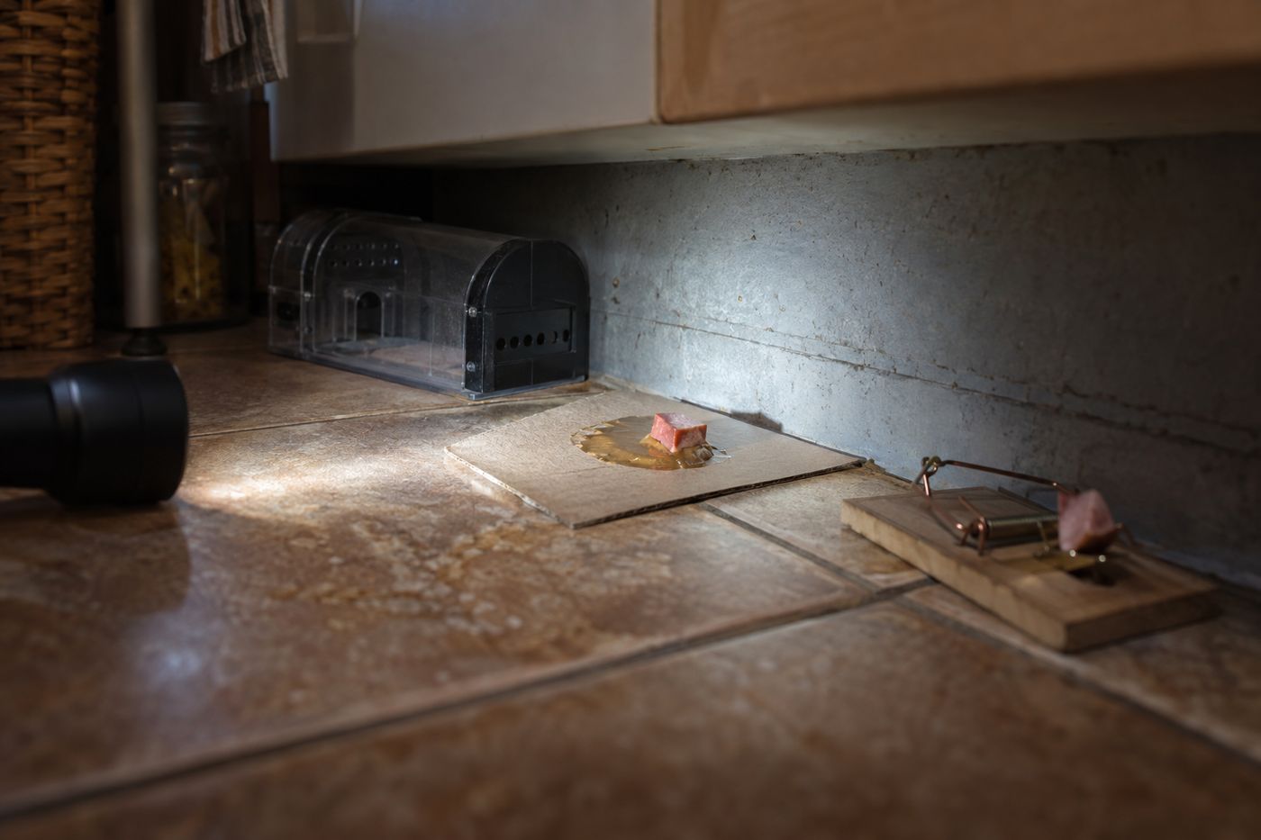 Row of traps along a wall behind kitchen cabinets: glue board, snap trap and a live-catch trap